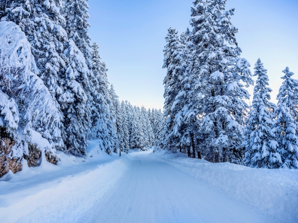 Ski ne Kolashin 18€/P Guide 1 Ditore