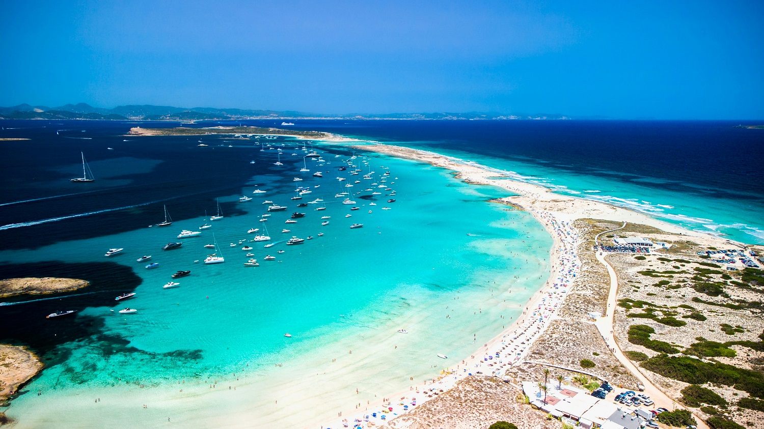 IBIZA 6 DITE